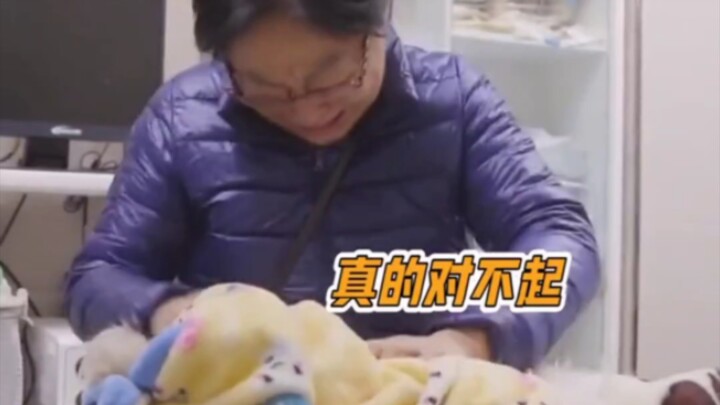 لقد أكمل الكلب مهمته وعاد إلى كوكب الكلاب.