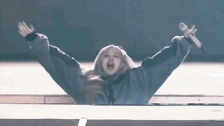 Chó Golden đáng yêu cao hơn 170 cm nũng nịu ai mà không yêu