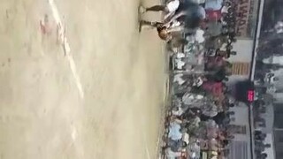 grey strike good