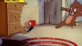 Status kepegawaian mahasiswa berbagai jurusan 1.0