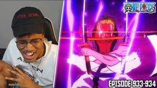 ZORO IS ON DEMON TIME IN WANO!!! One Piece Episode 933-934 REACTION