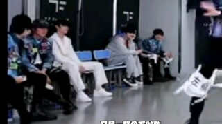 详细分析张极看张泽禹跳女团舞