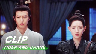 Camellia Girl goes missing and Hu Zi is Framed | Tiger and Crane EP08 | 虎鹤妖师录 | iQIYI