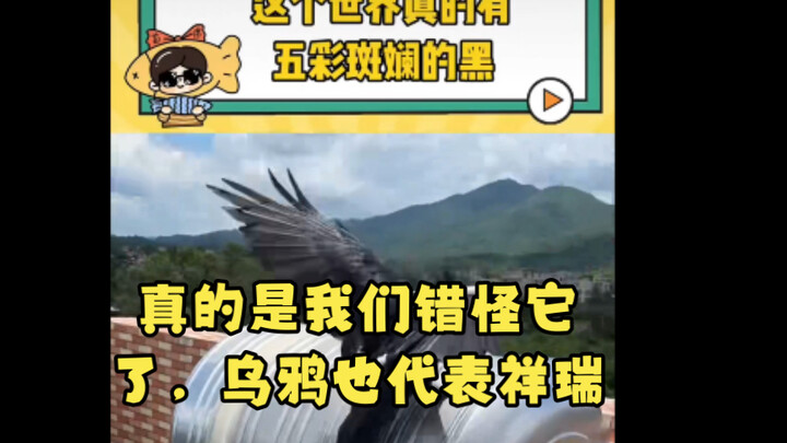 We really did it wrong—crows are vibrantly black.