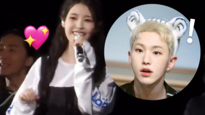 IU đã biểu diễn một điệu nhảy do HOSHI biên đạo tại buổi hòa nhạc của cô ấy!