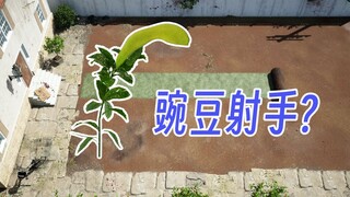 Biến Plants vs. Zombies thành phiên bản 3D thực tế có độ nét cao!
