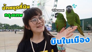 ปล่อยบินในเมือง เอเซียทีค หวาดเสียวมากๆ