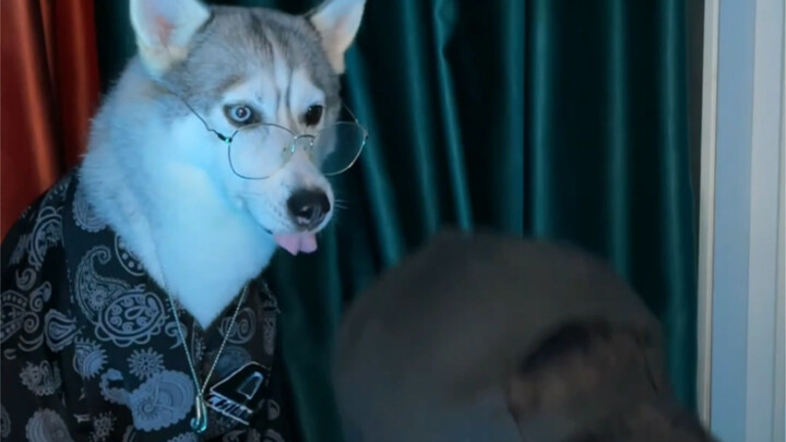 Đây có phải là đoạn hậu trường các bạn muốn không?