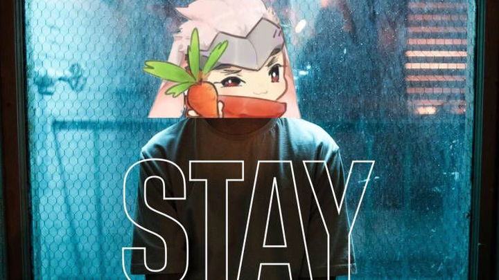 [Âm nhạc][Sáng tạo lại]Chàng trai cover bài hát <Stay>|Justin Bieber