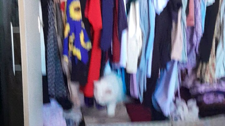 catonsite