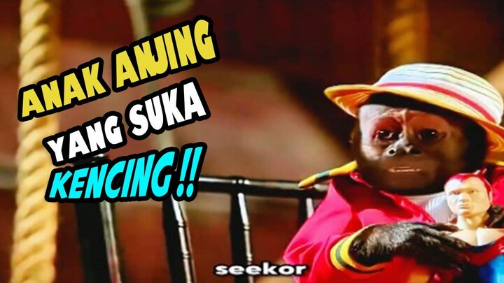 ANAK ANJING YANG MEMILIKI KEBIASAAN UNIK