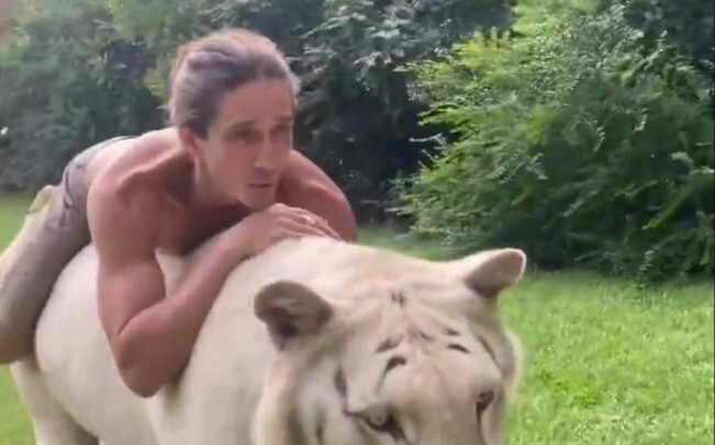 Roaming Across the Grassland