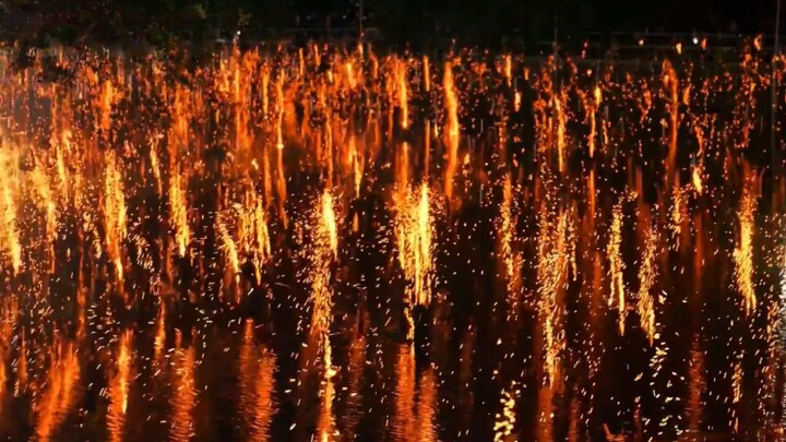 Orang Tionghoa tidak menipu sesama orang Tionghoa, benar-benar sangat beruntung dan romantis jika di