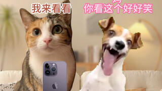 当我有个不扫兴的父母