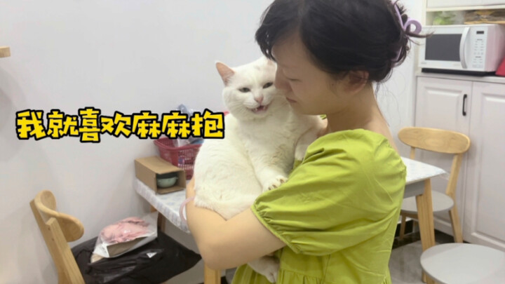 เลิกงานกลับบ้านดึก แมวน้อยขี้งอนโกรธแล้ว คอยร้องอ้อนๆ ประท้วงไม่หยุด