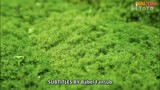 Don't Disturb Me Farming episode 24 (Indo sub)