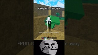 OMG What Fruit 😱 #dangthanhtu08 #bloxfruits #bloxfruit #roblox