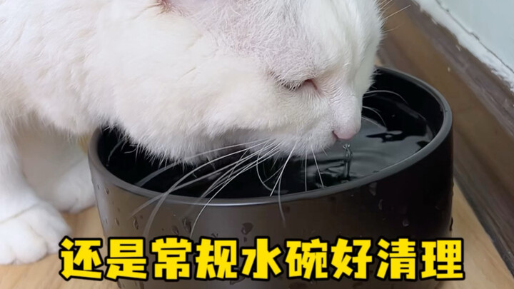 A regular water bowl is still easier to clean.