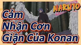 Cảm Nhận Cơn Giận Của Konan