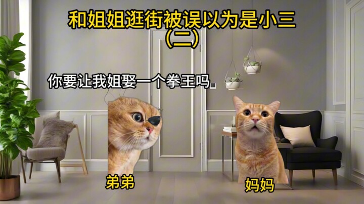 Đi mua sắm với chị gái và bị nhầm là bồ nhí (Phần 2)