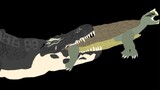 Nguyên bản hoạt hình cá sấu Phổ săn mồi rùa