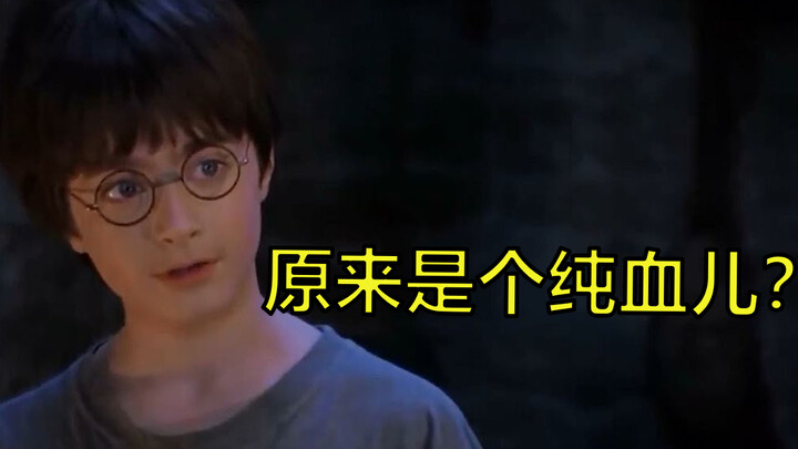 [Close Look at Harry Spin-off 4] Is Harry actually a pure-blood or a half-blood wizard?