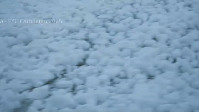 SORE ISTRI DARI MASA DEPAN