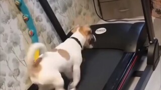 "Mode Switch"