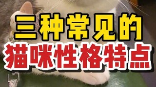 Three common personality traits of cats— which one do you like the most?