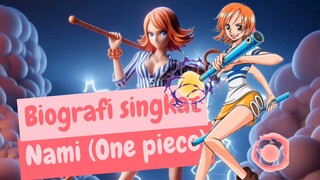 Biografi singkat Nami (One piece).