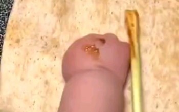 Makan camilan aja yuk