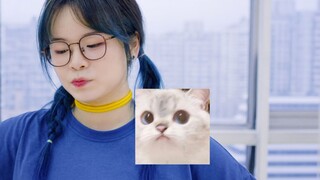 [梅×空]Mọi người đều vui vẻ[三元乱入.ver]