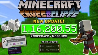 UPDATE! MCPE 1.16.200.55 BETA - XBOX | Knockback & Mobs Fix!