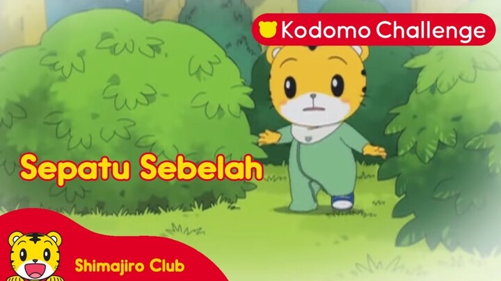 Shimajiro | Pendidikan Anak | Sepatu Sebelah Ep.121.1 - Kodomo Challenge