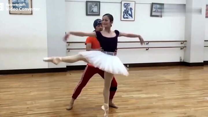 How would you rate the professionalism of Japan's amateur ballet classes?