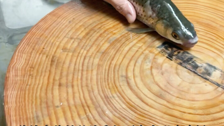 قال المعجبون إنهم جاؤوا إلى قوانغشي لتجربة سلطة السمك القوانغشي الشهيرة. كم من المعجبين يحبون هذه ال