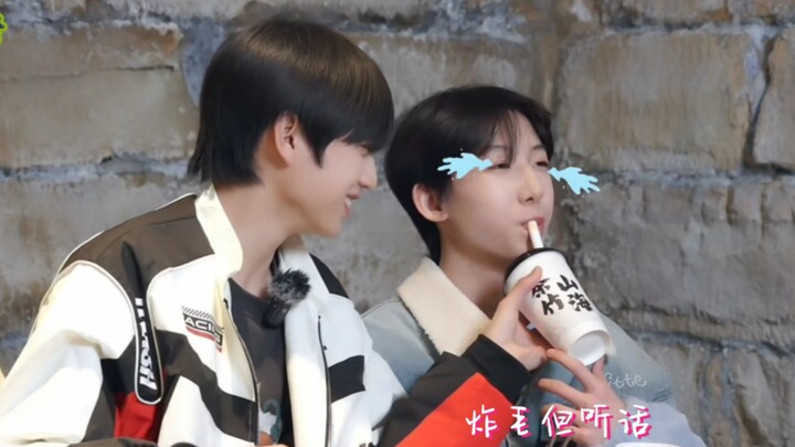 Hahaha, this scene of feeding the milk tea straight into the little lamb’s mouth had me cracking up 