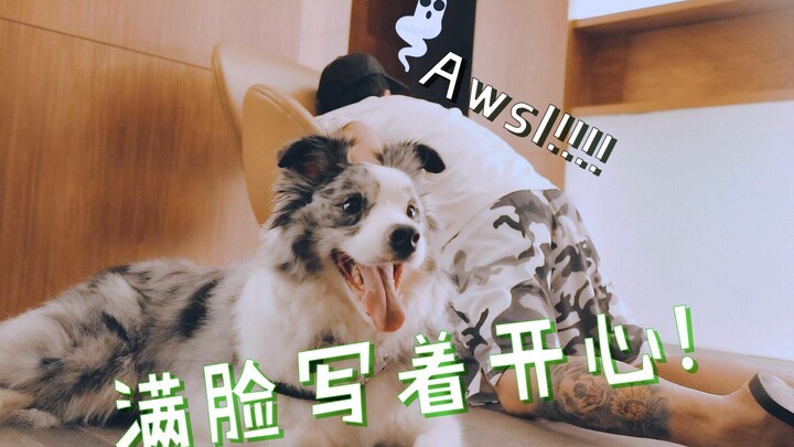 Setelah menjatuhkan pemilik anjing, si orang jahat malah ingin membawa kabur anjingnya? Apakah dia a