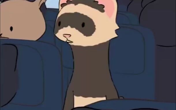 [Phụ đề tiếng Trung] Gấu mèo: Chết tiệt