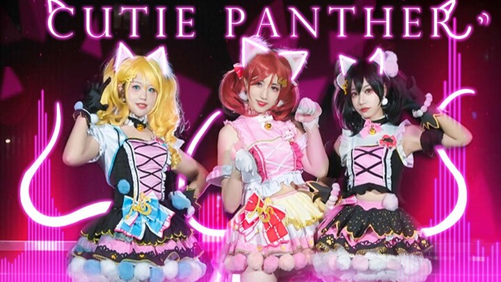 【Cutie Panther】🐾Treat or Trick! Restore the concert direction~ No matter where you hide, you can't e