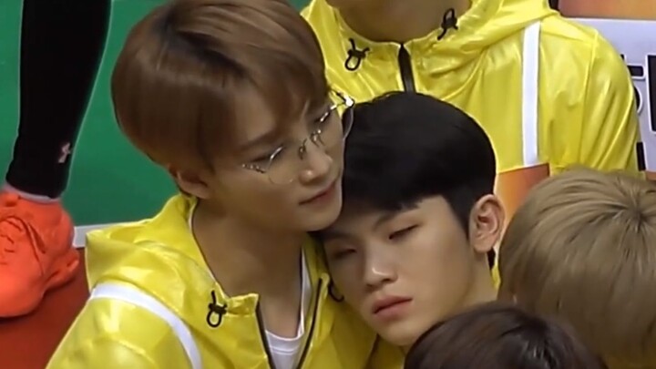 【Seventeen Lee Jihoon】Kabarnya ada yang tidak suka kontak fisik?