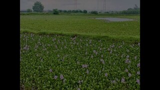 siêu trời