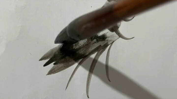 Qi Baishi's Shrimp