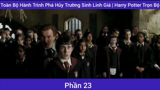 toàn bộ Hành trình phá hủy trường sinh linh giá thân 23
