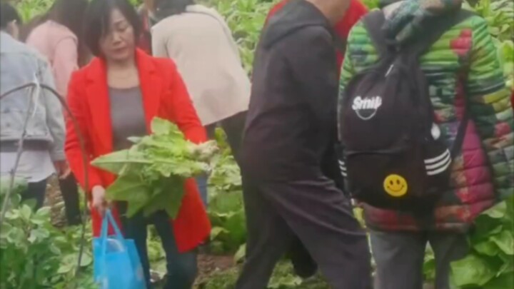 Pick your own veggies—just grab the one you like!