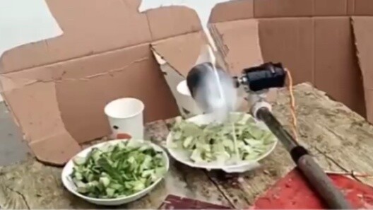 【Penemuan Xiao Liai】 Server Tamu