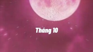 tiktok 12 cung hoàng