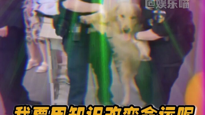 ช่างเป็นกลุ่มซาลาเปาสีสันจัดจ้านจริงๆ (ขอให้นักเรียนที่กำลังสอบเอนทรานซ์ประสบความสำเร็จสมหวัง!!!) #ก