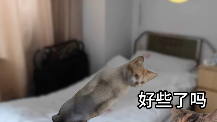 A Mother’s Love Knows No Before or After