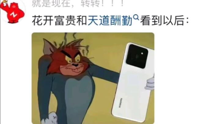 Setelah melihat “Bunga Mekar Membawa Kemakmuran” dan “Ketekunan Dibalas Langit”: